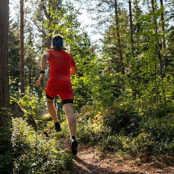 Traillöpning – guide för nybörjare